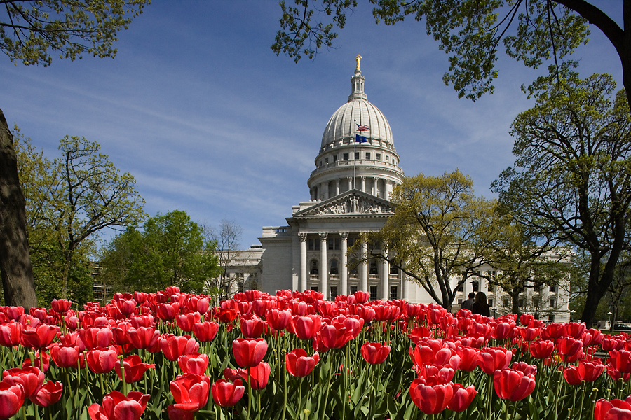 Capital w Tulips 3962 1900 WEB.jpg