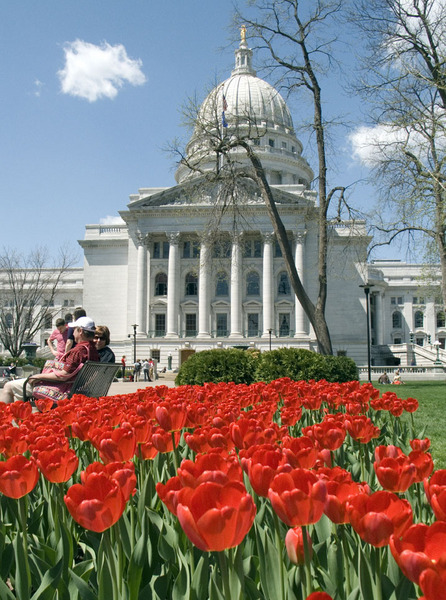 Weidemann Capitol with Tulips May 05 09 CRW_5965 WEB.jpg