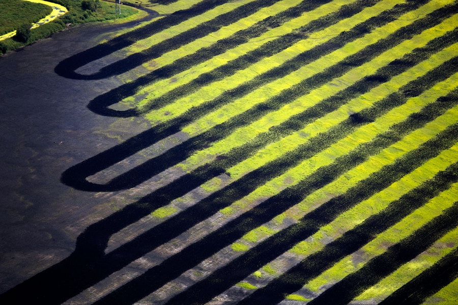 Weidemann-4669-Fields-Grand-River-Wildlife_MG_1317-WEB.jpg