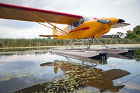 Weidemann-4669-Plantz-amphib-OSH-15_MG_1356-MOD-WEB.jpg