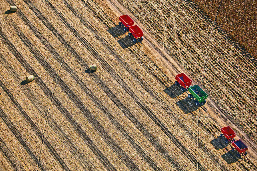 Weidemann-4669-7520-Wagons-Field-Hwy60-Sprngrn-_MG_7520-MOD-8by12-WEB.jpg