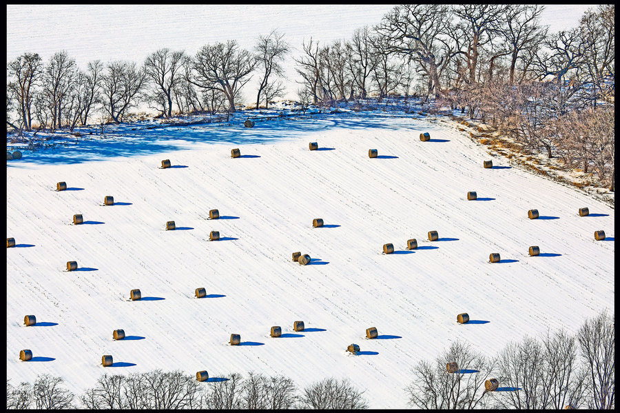 Weidemann-4716-Bales-York-Center_MG_9357-8by12-PRT-WEB.jpg
