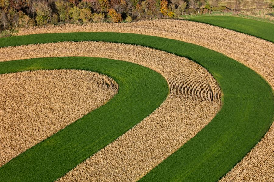 Weidemann-4716-Fields-_MG_2459-WEB.gif