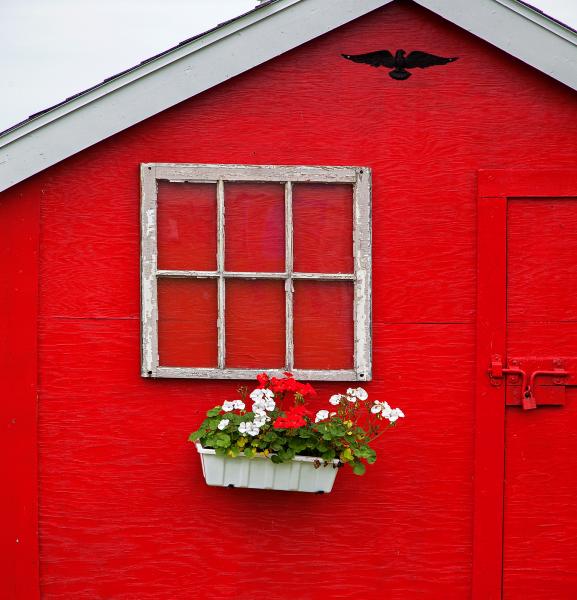 Weidemann-4716-Red-Shed_MG_7958-MOD-WEB.gif