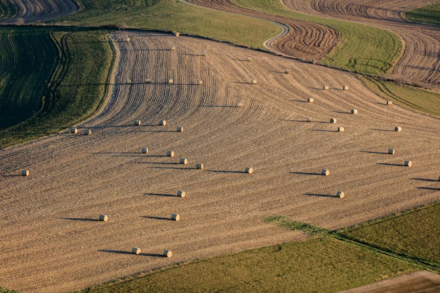 Weidemann-4716-Fields-S-Barneveld_MG_3036-WEB.gif