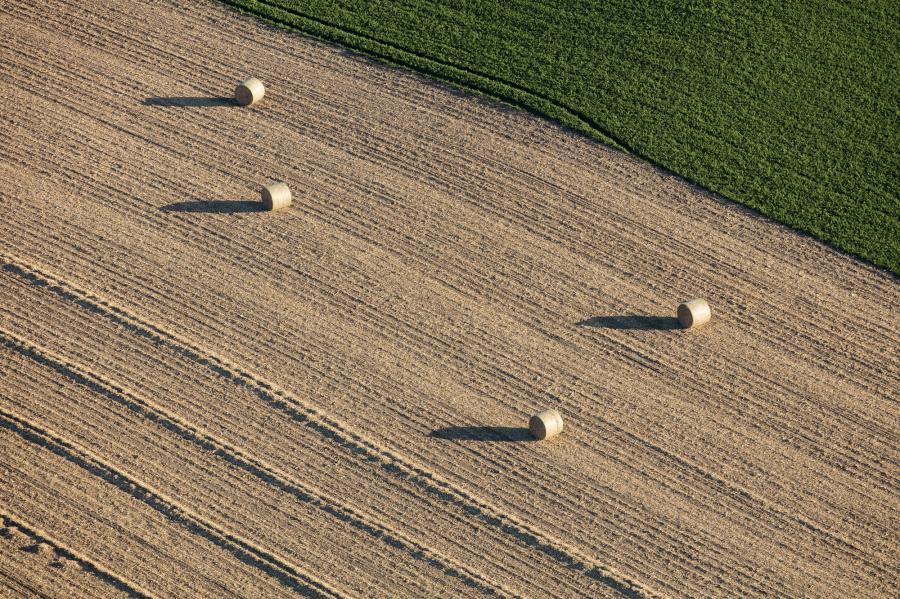Weidemann-4716-Hay-Field_MG_2980-WEB.gif