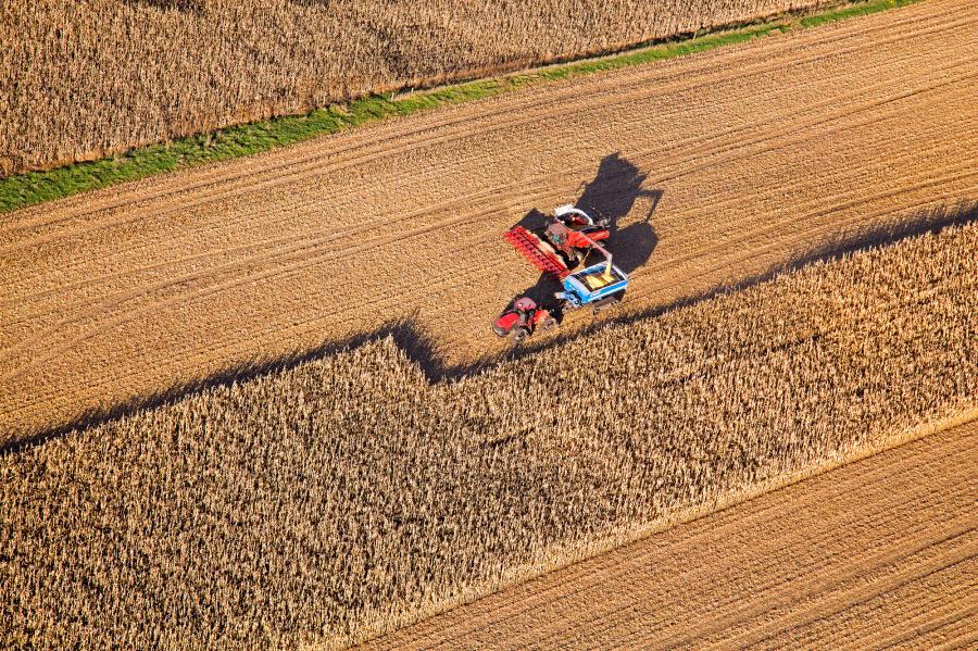 Weidemann-4716-Corn-harvest_MG_5431-MOD-WEB.gif