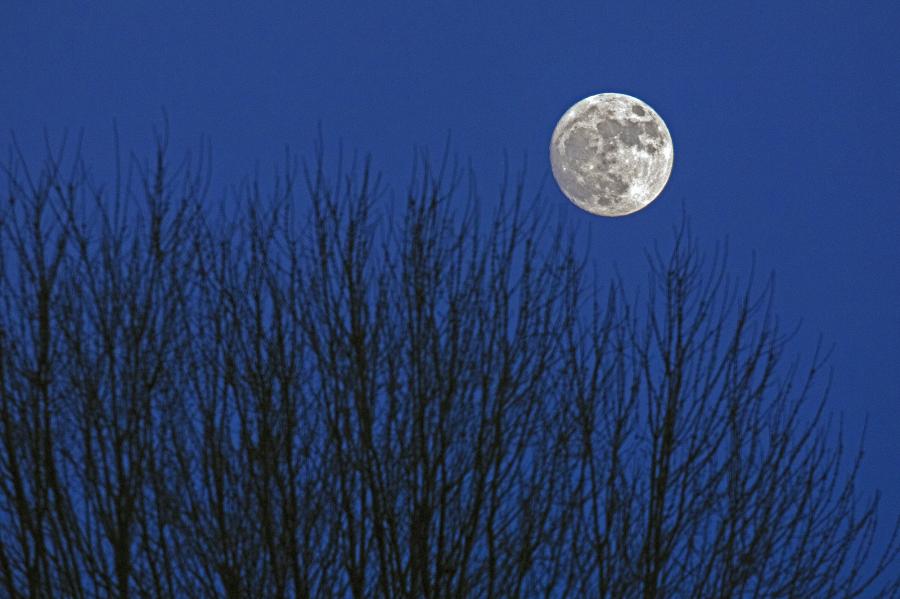 Weidemann-Moon-frm-Gas-Pumps-6P3_MG_3407-WEB.gif