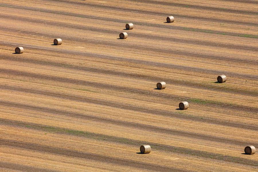 Weidemann 4735 Bales Otsego_MG_6099.jpg