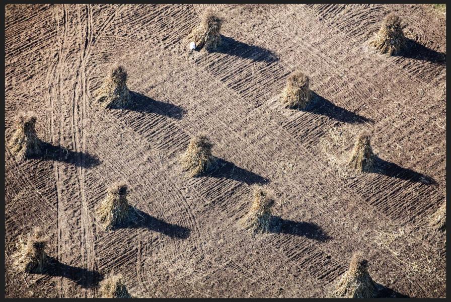 Weid 4735 Corn nr Montello_MG_7288 MOD.jpg