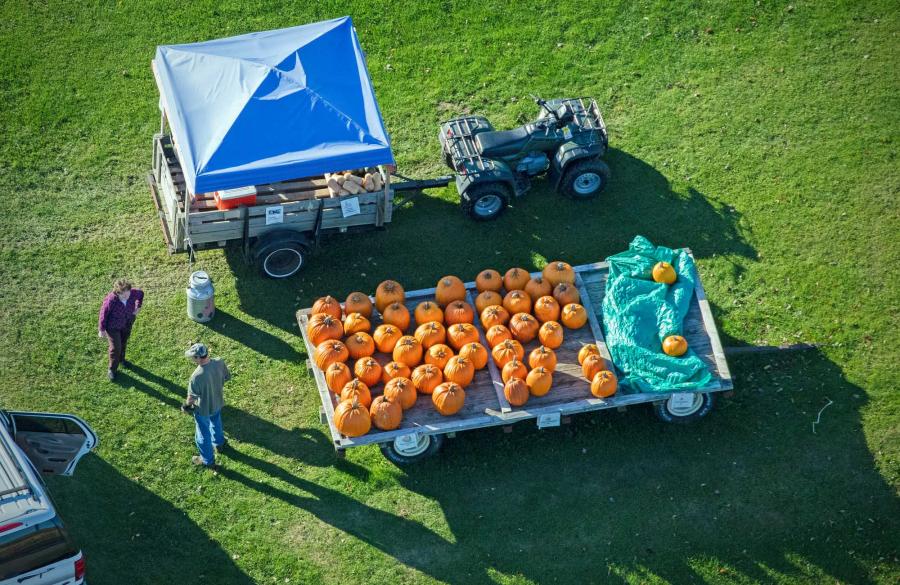 Weid 4735 Pumpkins Valley Vw Rd 23_MG_7210.jpg