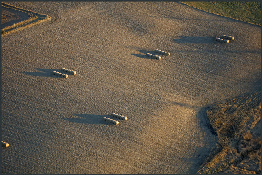 Weidemann 4735 Bales Roxsbury_MG_7433.jpg