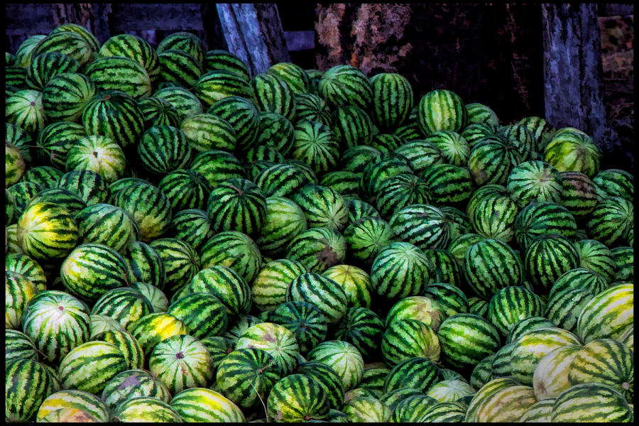 Weidemann 4744 Watermelon CR_MG_9909 ClrDay.jpg