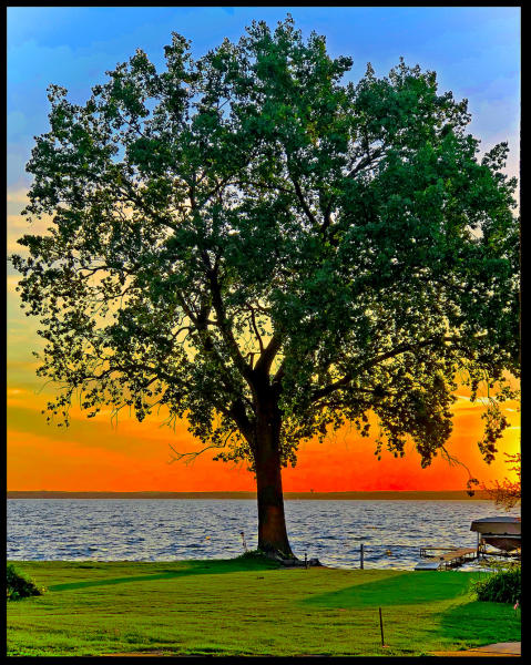 TRee Btwn Hses 2159 MOD.jpg