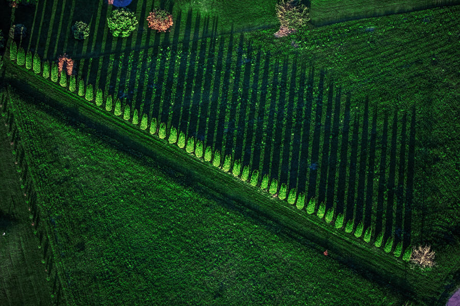 Weidemann 4778 Trees n Shadows_MG_6768 Edge n Dtl Bst.jpg