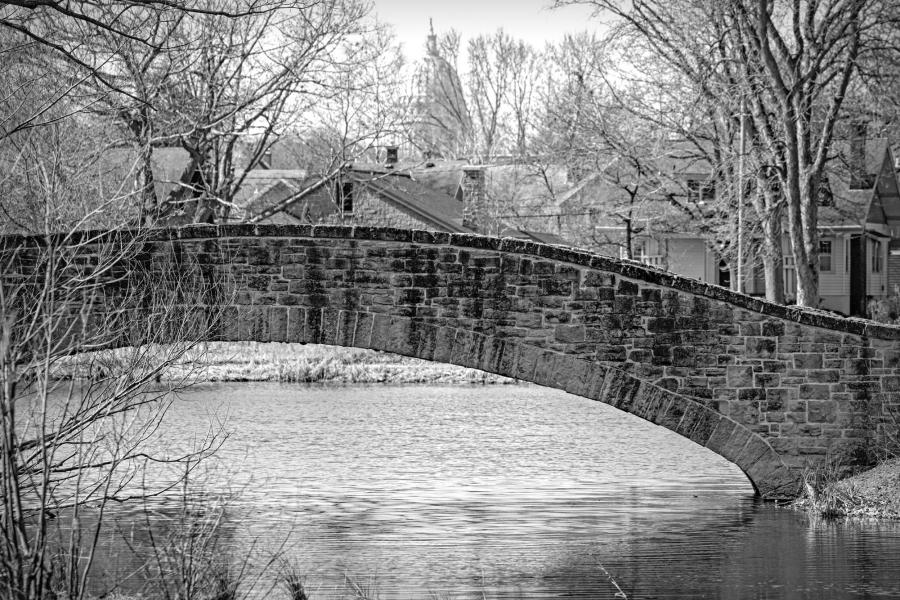 Weidemann 4778 Bridge Tenney Pk_MG_3599 Black and White Photo.jpg