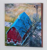 Hook Lake Bog Barn n Windmill 4744 8456_MG_8596.jpg
