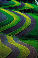 Weidemann 4784 Fields nr Jordan Creek IMG_6161 MOD 12x18 Perfect Portrait12x18 copy.jpg