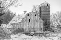Weidemann 4784 Farm Evansville IMG_5484 Color n Cntrst Bst III Desat SRGB copy 12x18.jpg