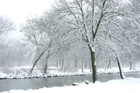Weidemann 4140 Tenney Winter Trees 4123 SMALL.jpg