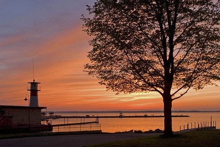 Weidemann 4297 GMCC Tenney Sunset with Tree _MG_2373 CPM.jpg