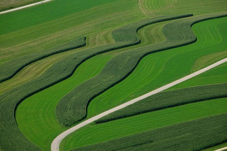 Weidemann 4399 Hay Fields Corn Fields 9068 WEB.jpg
