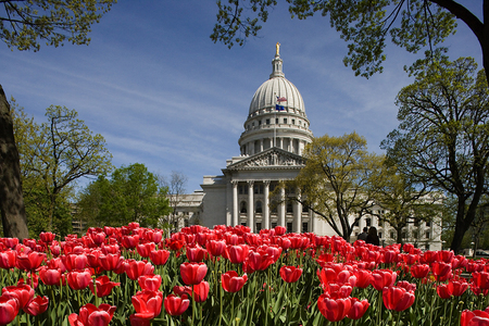 Capital w Tulips 3962 1900 WEB.jpg