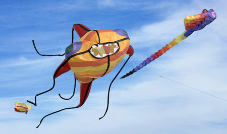 Kites on Ice