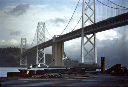 Flying Sequence Bay Bridge, CA