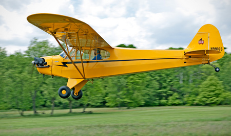 Weid-4665-Cub-Iola_MG_3968-WEB.jpg