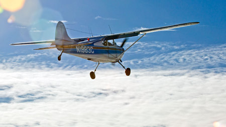 Cessna-170-_MG_7295-WEB.jpg