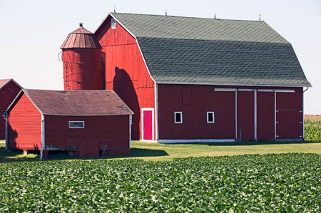 Weidemann-4669-Barns-SOSH_MG_2243-MOD-WEB.jpg