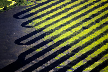 Weidemann-4669-Fields-Grand-River-Wildlife_MG_1317-WEB.jpg