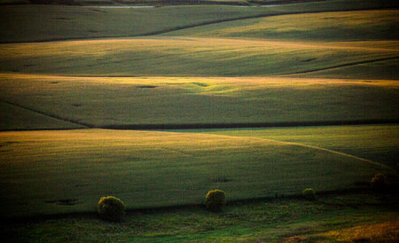 Weidemann-4669-Late-PM-Hills_MG_4143-WEB.jpg