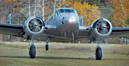 Weidemann-4669-Beech-18-68C-_MG_6978-MOD-WEB.jpg