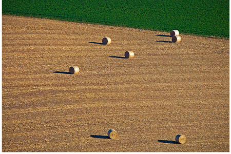 Weidemann 4669 Bales near Arlington_MG_7186 MOD 8by12 PRT_1.jpg