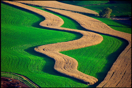 Weidemann 4669 Corn Hay_MG_6006 8by12 PRT_1.jpg