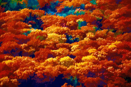 Weidemann-4669-Trees-Arena_MG_8215-PTG-8by12-WEB.jpg