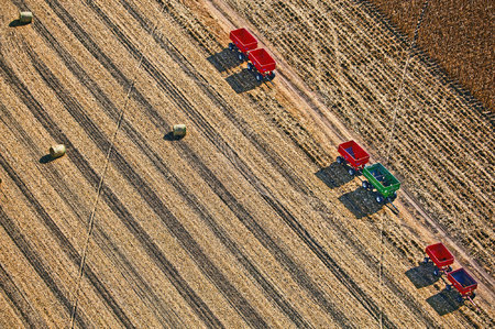 Weidemann-4669-7520-Wagons-Field-Hwy60-Sprngrn-_MG_7520-MOD-8by12-WEB.jpg