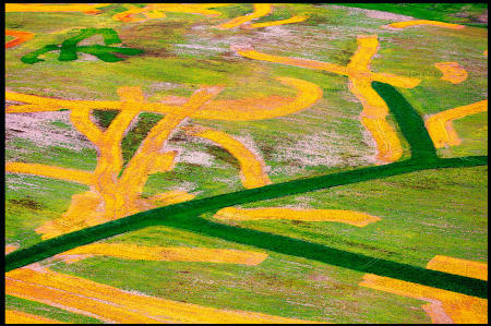 Weid-4716-Field-Louisville-KY-_MG_4272-MOD-8by12-PRT-WEB.jpg