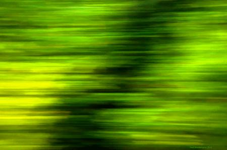 Weidemann-4716-Train-Streaks_MG_1409-PTGIV-Name-WEB.gif