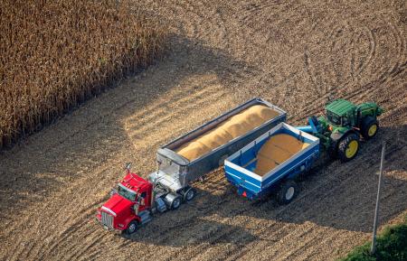 Weidemnn-4716-Corn-time-in-WI-_MG_2336-B-WEB.gif