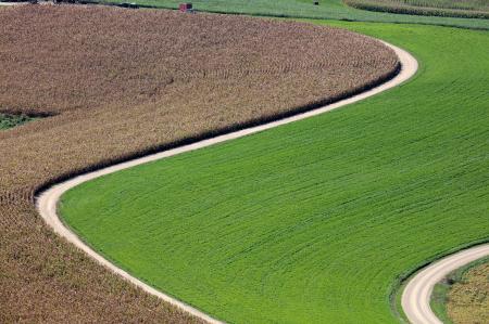 Weidemann-4716-Farm-Field_MG_2063-WEB.gif