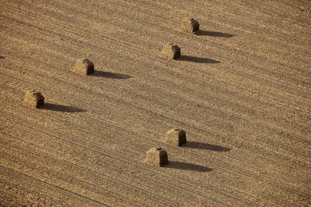 Weidemann-4716-Bales_MG_2465-WEB.gif