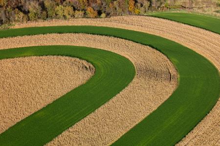 Weidemann-4716-Fields-_MG_2459-WEB.gif