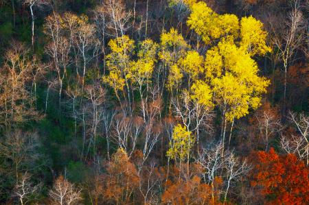 Weidemann-4716-SE-of-Sauk-Cty_MG_2807-WEB.gif