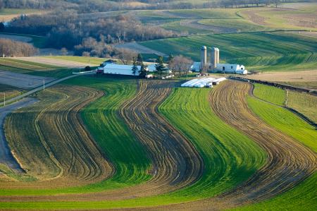 Weidemann-4716-Farm-Fields_MG_3023-WEB.gif