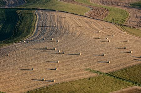 Weidemann-4716-Fields-S-Barneveld_MG_3036-WEB.gif