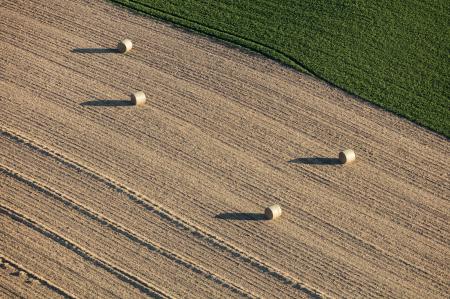 Weidemann-4716-Hay-Field_MG_2980-WEB.gif