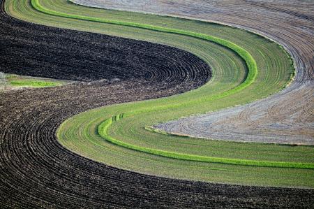 Weidemann-4716-S-Field_MG_3255-WEB.gif